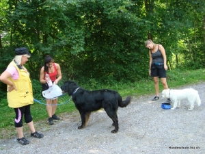 Abschlusstraining Basiskurs 29.06.09