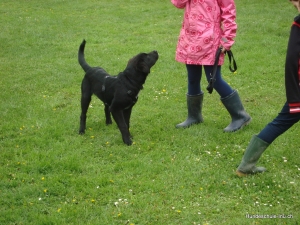 Flegeli Samstag 12.05