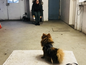 20171204_090413758_ios