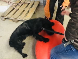 20171204_093922285_ios