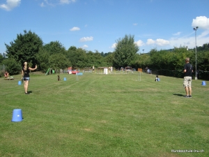 Junghunde August 2013